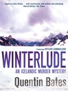 Cover image for Winterlude